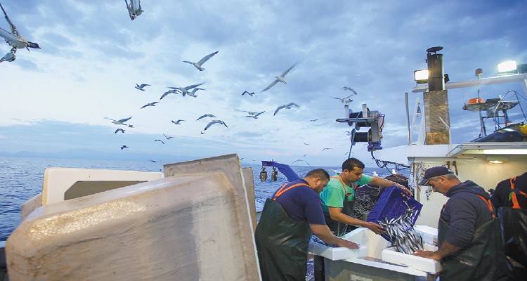 Λήμνος: «Σιγή ιχθύος» στις οθόνες