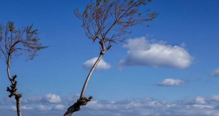 Καιρός: Υψηλές θερμοκρασίες μέχρι Σάββατο | Αλλάζει το σκηνικό από την Κυριακή