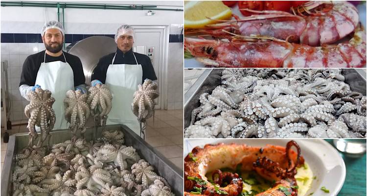 &Kappa;&alpha;&theta;&alpha;&rho;ά &Delta;&epsilon;&upsilon;&tau;έ&rho;&alpha; &mu;&epsilon; &theta;&alpha;&lambda;&alpha;&sigma;&sigma;&iota;&nu;ή &upsilon;&pi;&omicron;&gamma;&rho;&alpha;&phi;ή &Omicron;&Kappa;&Tau;&Alpha;&Pi;&Omicron;&Upsilon;&Sigma; &Lambda;ή&mu;&nu;&omicron;&sigmaf;!