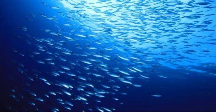 Έ&omega;&sigmaf; 8 &Alpha;&upsilon;&gamma;&omicron;ύ&sigma;&tau;&omicron;&upsilon; &tau;&omicron; Leader &Alpha;&lambda;&iota;&epsilon;ί&alpha;&sigmaf; &Lambda;έ&sigma;&beta;&omicron;&upsilon; &kappa;&alpha;&iota; &Lambda;ή&mu;&nu;&omicron;&upsilon;