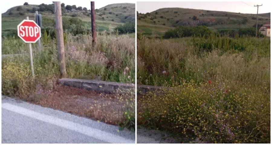 &Pi;&rho;ό&beta;&lambda;&eta;&mu;&alpha; &omicron;&rho;&alpha;&tau;ό&tau;&eta;&tau;&alpha;&sigmaf; &sigma;&tau;&eta;&nu; έ&xi;&omicron;&delta;&omicron; &tau;&omicron;&upsilon; &Kappa;ό&tau;&sigma;&iota;&nu;&alpha; &lambda;ό&gamma;&omega; &psi;&eta;&lambda;ώ&nu; &chi;ό&rho;&tau;&omega;&nu;