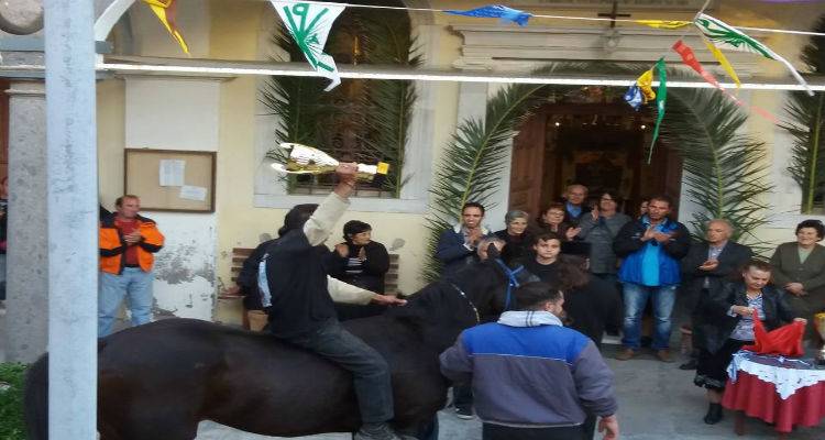 Ιπποδρομίες στο Κοντοπούλι προς τιμήν του Αγίου Δημητρίου (photos)