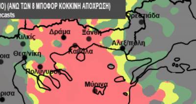 &Pi;&rho;&omicron;&epsilon;&iota;&delta;&omicron;&pi;&omicron;&iota;&epsilon;ί &omicron; &Sigma;ά&kappa;&eta;&sigmaf; &Alpha;&rho;&nu;&alpha;&omicron;ύ&tau;&omicron;&gamma;&lambda;&omicron;&upsilon;: &Kappa;&alpha;&tau;&alpha;&iota;&gamma;ί&delta;&epsilon;&sigmaf;, &iota;&sigma;&chi;&upsilon;&rho;&omicron;ί &nu;&omicron;&tau;&iota;ά&delta;&epsilon;&sigmaf; &kappa;&alpha;&iota; &alpha;&phi;&rho;&iota;&kappa;&alpha;&nu;&iota;&kappa;ή &sigma;&kappa;ό&nu;&eta; &tau;&eta;&nu; &Pi;&alpha;&rho;&alpha;&sigma;&kappa;&epsilon;&upsilon;ή