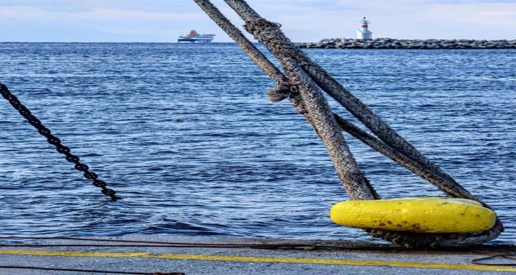 Φώτο: Θανάσης Λαμπρούδης 