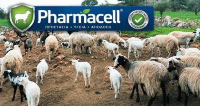 &Sigma;ή&mu;&epsilon;&rho;&alpha; &eta; &epsilon;&nu;&eta;&mu;&epsilon;&rho;&omega;&tau;&iota;&kappa;ή &epsilon;&kappa;&delta;ή&lambda;&omega;&sigma;&eta; &tau;&eta;&sigmaf; PHARMACELL &gamma;&iota;&alpha; &tau;&omicron;&upsilon;&sigmaf; &kappa;&tau;&eta;&nu;&omicron;&tau;&rho;ό&phi;&omicron;&upsilon;&sigmaf; &tau;&eta;&sigmaf; &Lambda;ή&mu;&nu;&omicron;&upsilon;.