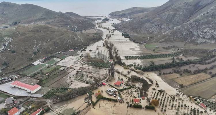 &Theta;&epsilon;&tau;&iota;&kappa;ή &epsilon;&xi;έ&lambda;&iota;&xi;&eta;: &Chi;&rho;&eta;&mu;&alpha;&tau;&omicron;&delta;ό&tau;&eta;&sigma;&eta; 1,25 &epsilon;&kappa;&alpha;&tau;. &epsilon;&upsilon;&rho;ώ &sigma;&tau;&omicron;&nu; &Delta;ή&mu;&omicron; &Lambda;ή&mu;&nu;&omicron;&upsilon; &gamma;&iota;&alpha; &tau;&eta;&nu; &alpha;&pi;&omicron;&kappa;&alpha;&tau;ά&sigma;&tau;&alpha;&sigma;&eta; &tau;&omega;&nu; &upsilon;&pi;&omicron;&delta;&omicron;&mu;ώ&nu; &mu;&epsilon;&tau;ά &tau;&eta;&nu; &kappa;&alpha;&kappa;&omicron;&kappa;&alpha;&iota;&rho;ί&alpha; BORA