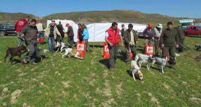 &Alpha;&gamma;ώ&nu;&epsilon;&sigmaf; &sigma;&epsilon; &nu;&eta;&sigma;&iota;&omega;&tau;&iota;&kappa;ή &pi;έ&rho;&delta;&iota;&kappa;&alpha; &alpha;&pi;ό &tau;&omicron;&nu; &Kappa;&upsilon;&nu;&omicron;&phi;&iota;&lambda;&iota;&kappa;ό Ό&mu;&iota;&lambda;&omicron; &Lambda;ή&mu;&nu;&omicron;&upsilon;