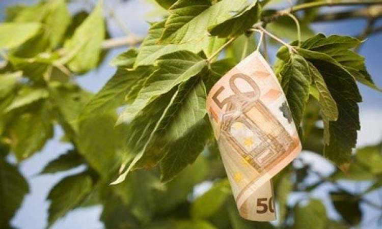 &Alpha;&nu;&alpha;&rho;&tau;ή&theta;&eta;&kappa;&alpha;&nu; &omicron;&iota; &kappa;&alpha;&tau;&alpha;&sigma;&tau;ά&sigma;&epsilon;&iota;&sigmaf; &epsilon;&xi;&iota;&sigma;&omega;&tau;&iota;&kappa;ή&sigmaf; &alpha;&pi;&omicron;&zeta;&eta;&mu;ί&omega;&sigma;&eta;&sigmaf; 2013 | &Xi;&epsilon;&kappa;&iota;&nu;ά&epsilon;&iota; &eta; &delta;&iota;&alpha;&delta;&iota;&kappa;&alpha;&sigma;ί&alpha; &tau;&omega;&nu; &epsilon;&nu;&sigma;&tau;ά&sigma;&epsilon;&omega;&nu;