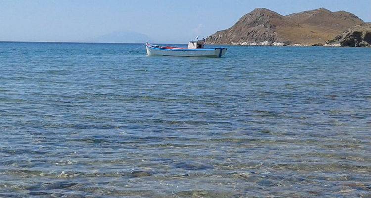 &Epsilon;&pi;&iota;&sigma;&tau;&rho;έ&phi;&omicron;&upsilon;&nu; &kappa;&alpha;ύ&sigma;&omega;&nu;&alpha;&sigmaf; &kappa;&alpha;&iota; &mu;&pi;&omicron;&upsilon;&rho;ί&nu;&iota;&alpha;