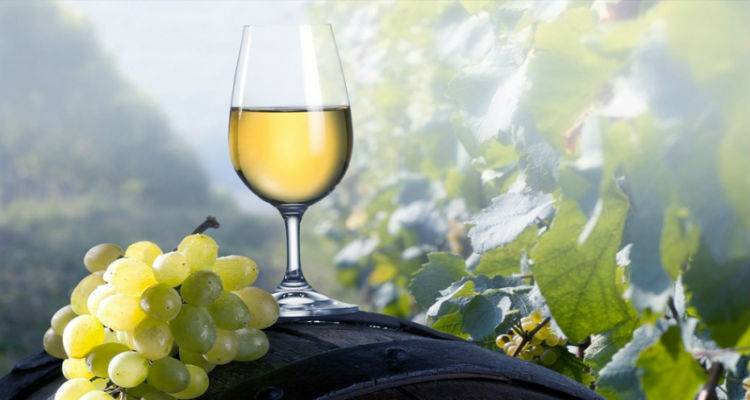 Στα ίδια ποσοτικά επίπεδα με πέρυσι η φετινή παραγωγή σταφυλιών στη Λήμνο