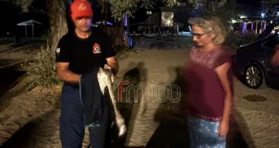 &Eta; &Pi;&upsilon;&rho;&omicron;&sigma;&beta;&epsilon;&sigma;&tau;&iota;&kappa;ή &Lambda;ή&mu;&nu;&omicron;&upsilon; &delta;&iota;έ&sigma;&omega;&sigma;&epsilon; &kappa;&alpha;&iota; &pi;&alpha;&rho;έ&delta;&omega;&sigma;&epsilon; &sigma;&tau;&eta; &Phi;&iota;&lambda;&omicron;&zeta;&omega;&iota;&kappa;ή &tau;&rho;&alpha;&upsilon;&mu;&alpha;&tau;&iota;&sigma;&mu;έ&nu;&omicron; &phi;&lambda;&alpha;&mu;ί&nu;&gamma;&kappa;&omicron;