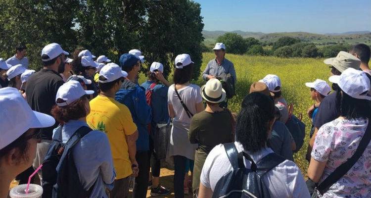 Ανοιξιάτικος περίπατος στο δάσος βελανιδιών της Λήμνου