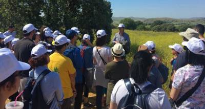 &Alpha;&nu;&omicron;&iota;&xi;&iota;ά&tau;&iota;&kappa;&omicron;&sigmaf; &pi;&epsilon;&rho;ί&pi;&alpha;&tau;&omicron;&sigmaf; &sigma;&tau;&omicron; &delta;ά&sigma;&omicron;&sigmaf; &beta;&epsilon;&lambda;&alpha;&nu;&iota;&delta;&iota;ώ&nu; &tau;&eta;&sigmaf; &Lambda;ή&mu;&nu;&omicron;&upsilon;