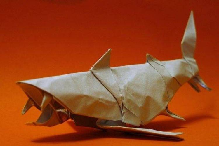 Όταν δεν κολυμπάς, δεν σε νοιάζουν οι καρχαρίες