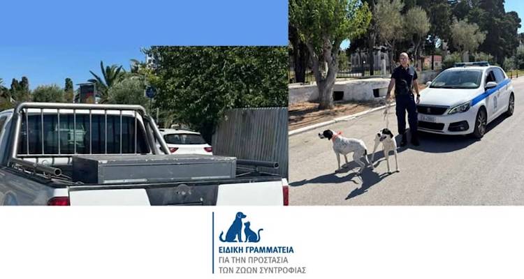 Η τοποθέτηση της Ειδικής Γραμματείας για την Προστασία των Ζώων Συντροφιάς για την υπόθεση κακοποίησης σκύλων στη Λήμνο