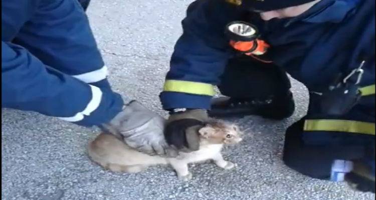 &Gamma;&kappa;&rho;έ&mu;&iota;&sigma;&alpha;&nu; &tau;&omicron;ί&chi;&omicron; &sigma;&tau;&omicron; &Kappa;&omicron;&nu;&tau;&omicron;&pi;&omicron;&upsilon;&lambda;&iota; &gamma;&iota;&alpha; &tau;&omicron;&nu; &alpha;&pi;&epsilon;&gamma;&kappa;&lambda;&omega;&beta;&iota;&sigma;&mu;ό &gamma;ά&tau;&alpha;&sigmaf;