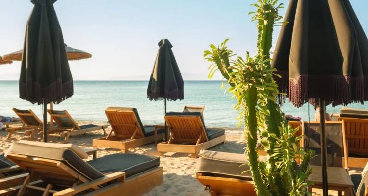 &Beta;&omicron;&upsilon;&lambda;&iota;&alpha;&gamma;&mu;έ&nu;&eta;: &Pi;έ&theta;&alpha;&nu;&epsilon; 82&chi;&rho;&omicron;&nu;&omicron;&sigmaf; &mu;&epsilon;&tau;ά &alpha;&pi;ό ά&gamma;&rho;&iota;&omicron; &kappa;&alpha;&beta;&gamma;ά &gamma;&iota;&alpha; &mu;ί&alpha; &xi;&alpha;&pi;&lambda;ώ&sigma;&tau;&rho;&alpha; -&Pi;&rho;&omicron;&sigma;ή&chi;&theta;&eta;&sigma;&alpha;&nu; 76&chi;&rho;&omicron;&nu;&omicron;&sigmaf; &kappa;&alpha;&iota; 21&chi;&rho;&omicron;&nu;&eta;