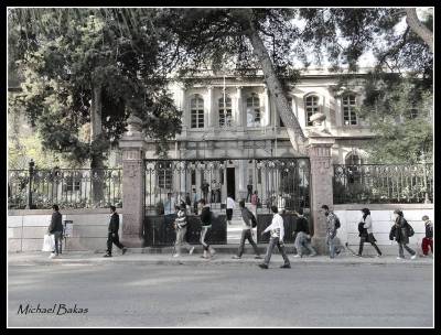 Επιστολή των Οικολόγων Πράσινων στον Δένδια για τη συνεχώς αυξανόμενη εισροή μεταναστών στα νησιά μας