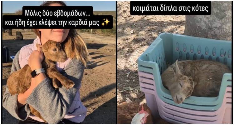 &Alpha;&pi;ό &tau;&eta;&nu; &epsilon;&rho;&eta;&mu;&iota;ά &tau;&omicron;&upsilon; &beta;&omicron;&upsilon;&nu;&omicron;ύ... &sigma;&tau;&eta;&nu; &pi;&iota;&omicron; &gamma;&lambda;&upsilon;&kappa;&iota;ά &alpha;&gamma;&kappa;&alpha;&lambda;&iota;ά &tau;&omicron;&upsilon; &Mu;&omicron;ύ&delta;&rho;&omicron;&upsilon;: &Eta; &iota;&sigma;&tau;&omicron;&rho;ί&alpha; &tau;&eta;&sigmaf; &mu;&iota;&kappa;&rho;ή&sigmaf; &laquo;&Zeta;&omega;ή&sigmaf;&raquo; &pi;&omicron;&upsilon; &theta;&alpha; &sigma;&omicron;&upsilon; &kappa;&lambda;έ&psi;&epsilon;&iota; &tau;&eta;&nu; &kappa;&alpha;&rho;&delta;&iota;ά!