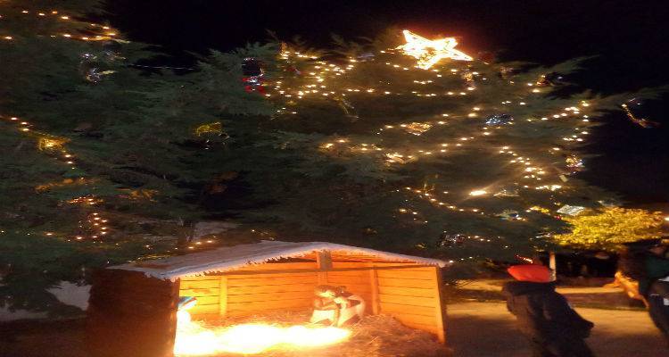 Ο Κοντιάς φωταγωγεί το δέντρο του