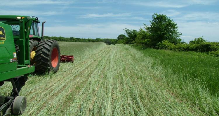&Lambda;ή&mu;&nu;&omicron;&sigmaf;: &Xi;&epsilon;&kappa;ί&nu;&eta;&sigma;&alpha;&nu; &omicron;&iota; &alpha;&iota;&tau;ή&sigma;&epsilon;&iota;&sigmaf; &epsilon;&nu;&iota;&alpha;ί&alpha;&sigmaf; &epsilon;&nu;ί&sigma;&chi;&upsilon;&sigma;&eta;&sigmaf; 2017