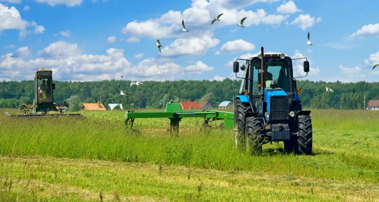 Λήμνος: Πληρώνονται οι βιοκαλλιεργητές της δράσης «Βιολογική Γεωργία-5ετία»