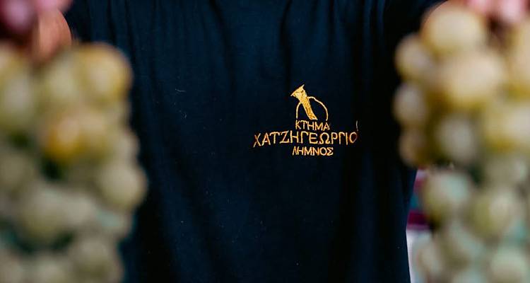 &Omicron; &tau;&rho;ύ&gamma;&omicron;&sigmaf; &xi;&epsilon;&kappa;ί&nu;&eta;&sigma;&epsilon; | &Eta; &Lambda;ή&mu;&nu;&omicron;&sigmaf; &sigma;&epsilon; &kappa;ά&theta;&epsilon; &pi;&omicron;&tau;ή&rho;&iota; &kappa;&rho;&alpha;&sigma;ί &Chi;&alpha;&tau;&zeta;&eta;&gamma;&epsilon;&omega;&rho;&gamma;ί&omicron;&upsilon;