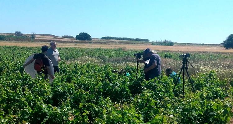 &Eta; &epsilon;&kappa;&pi;&omicron;&mu;&pi;ή &laquo;&Gamma;&epsilon;ύ&sigma;&eta; &kappa;&alpha;&iota; &Omicron;ί&nu;&omicron;&sigmaf;&raquo; &sigma;&tau;&eta; &Lambda;ή&mu;&nu;&omicron; (photos)