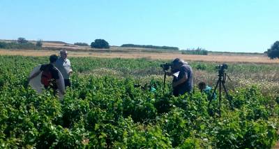 &Eta; &epsilon;&kappa;&pi;&omicron;&mu;&pi;ή &laquo;&Gamma;&epsilon;ύ&sigma;&eta; &kappa;&alpha;&iota; &Omicron;ί&nu;&omicron;&sigmaf;&raquo; &sigma;&tau;&eta; &Lambda;ή&mu;&nu;&omicron; (photos)