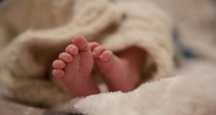 &Theta;&epsilon;&tau;&iota;&kappa;ό &sigma;&tau;&omicron;&nu; &Eta;1&Nu;1 &beta;&rho;έ&phi;&omicron;&sigmaf; &pi;&omicron;&upsilon; &mu;&epsilon;&tau;&alpha;&phi;έ&rho;&theta;&eta;&kappa;&epsilon; &sigma;&tau;&eta; &Theta;&epsilon;&sigma;&sigma;&alpha;&lambda;&omicron;&nu;ί&kappa;&eta; &alpha;&pi;&rsquo; &tau;&alpha; &Tau;&rho;ί&kappa;&alpha;&lambda;&alpha;