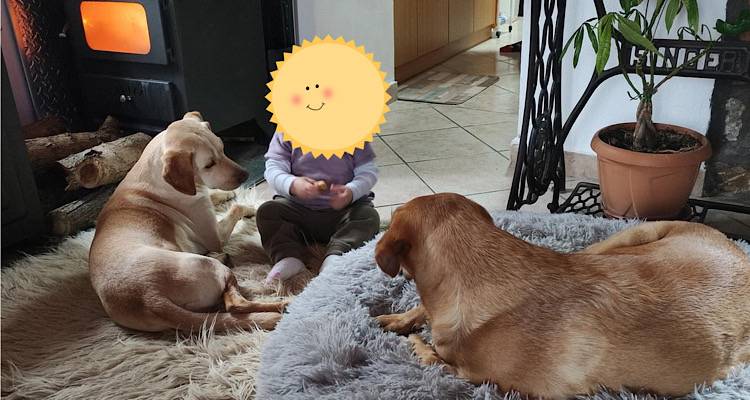 Μάκης Καλλιάνης: «Χθες το βράδυ η οικογένειά μας ένιωσε το δηλητήριο μέχρι τα μύχια της ψυχής»