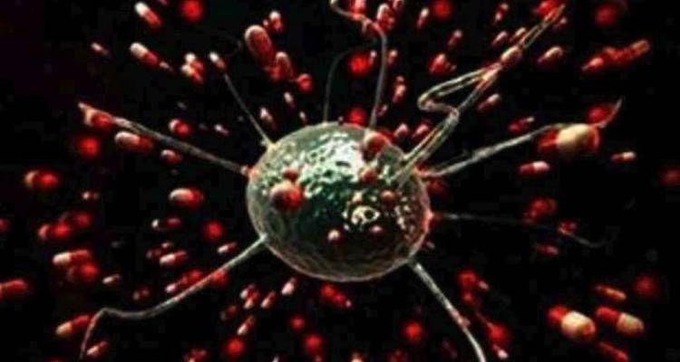 Αντιμετωπίζοντας... τους  Μικροοργανισμούς