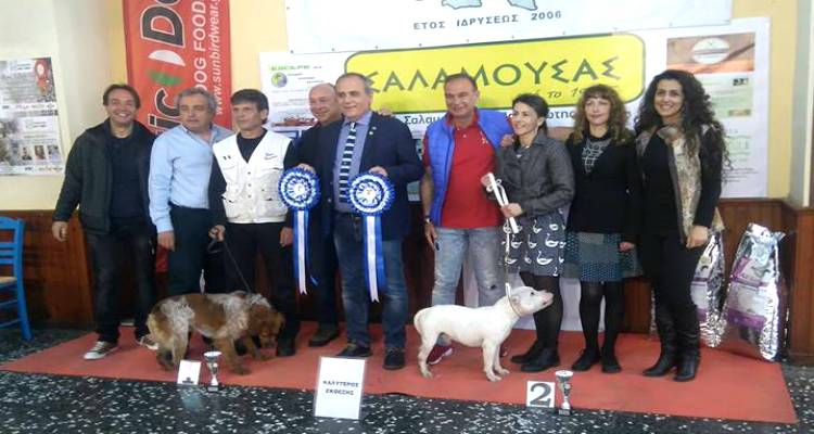 &Kappa;έ&rho;&delta;&iota;&sigma;&alpha;&nu; &tau;&iota;&sigmaf; &epsilon;&nu;&tau;&upsilon;&pi;ώ&sigma;&epsilon;&iota;&sigmaf; &omicron;&iota; &epsilon;&kappa;&delta;&eta;&lambda;ώ&sigma;&epsilon;&iota;&sigmaf; &tau;&omicron;&upsilon; &Kappa;&upsilon;&nu;&omicron;&phi;&iota;&lambda;&iota;&kappa;&omicron;ύ &Omicron;&mu;ί&lambda;&omicron;&upsilon; &sigma;&tau;&eta; &Lambda;ή&mu;&nu;&omicron; (mp3 + photos)