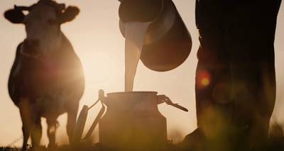 &Lambda;έ&sigma;&beta;&omicron;&sigmaf;: 8 &nu;έ&alpha; &kappa;&rho;&omicron;ύ&sigma;&mu;&alpha;&tau;&alpha; &alpha;&phi;&theta;ώ&delta;&omicron;&upsilon;&sigmaf; &pi;&upsilon;&rho;&epsilon;&tau;&omicron;ύ | &Sigma;&tau;&alpha; 13 &sigma;&upsilon;&nu;&omicron;&lambda;&iota;&kappa;ά, &sigma;&epsilon; &iota;&sigma;&chi;ύ &alpha;&upsilon;&sigma;&tau;&eta;&rho;ά &mu;έ&tau;&rho;&alpha; &kappa;&alpha;&iota; &theta;&alpha;&nu;&alpha;&tau;ώ&sigma;&epsilon;&iota;&sigmaf; &zeta;ώ&omega;&nu;