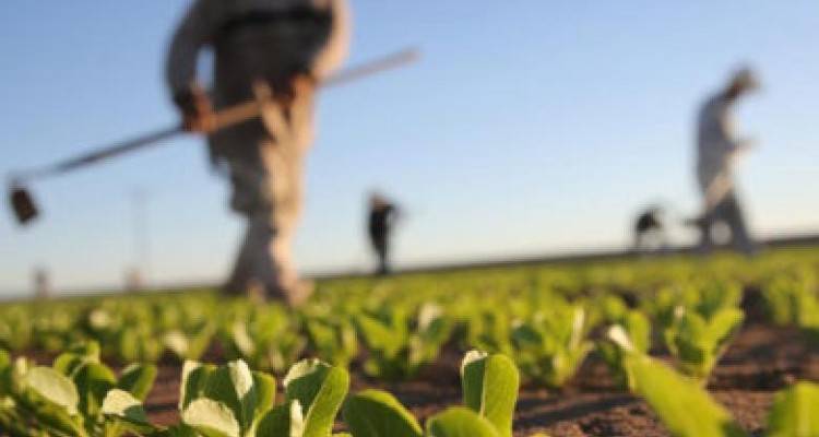 Λήμνος: Βιολογική Γεωργία-5ετία» αναρτήθηκαν αναλυτικές ονομαστικές καταστάσεις της 3ης πληρωμής