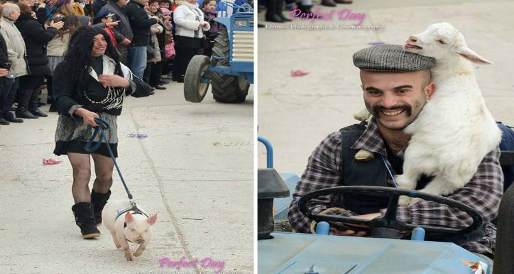 &Tau;&omicron; &Alpha;nimal Rescue Lemnos &epsilon;&nu;&eta;&mu;&epsilon;&rho;ώ&nu;&epsilon;&iota; &epsilon;&nu;ό&psi;&epsilon;&iota; &tau;&omega;&nu; &phi;&epsilon;&tau;&iota;&nu;ώ&nu; &kappa;&alpha;&rho;&nu;&alpha;&beta;&alpha;&lambda;&iota;&kappa;ώ&nu; &epsilon;&kappa;&delta;&eta;&lambda;ώ&sigma;&epsilon;&omega;&nu;