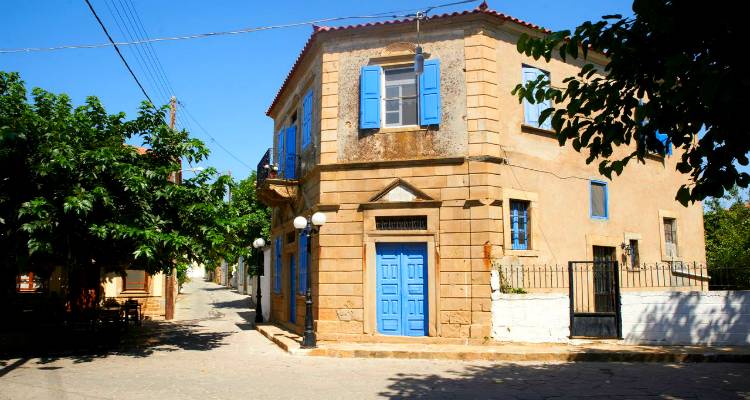 &Alpha;&gamma;&rho;&omicron;&tau;&iota;&kappa;ό&sigmaf; &gamma;&iota;&alpha;&tau;&rho;ό&sigmaf; &tau;&eta;&nu; &Tau;&epsilon;&tau;ά&rho;&tau;&eta; &sigma;&tau;&omicron; &Pi;&omicron;&rho;&tau;&iota;&alpha;&nu;&omicron;ύ