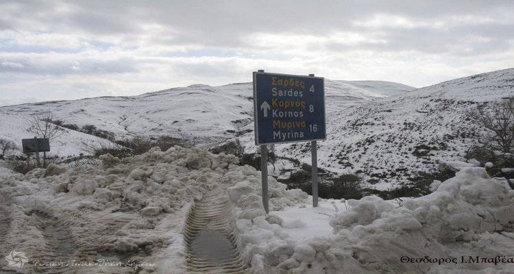 &Sigma;&upsilon;&nu;&epsilon;&delta;&rho;ί&alpha;&sigma;&eta; &gamma;&iota;&alpha; &tau;&omicron; &Sigma;&upsilon;&nu;&tau;&omicron;&nu;&iota;&sigma;&tau;&iota;&kappa;ό Ό&rho;&gamma;&alpha;&nu;&omicron; &Pi;&omicron;&lambda;&iota;&tau;&iota;&kappa;ή&sigmaf; &Pi;&rho;&omicron;&sigma;&tau;&alpha;&sigma;ί&alpha;&sigmaf; &Pi;&epsilon;&rho;&iota;&phi;&epsilon;&rho;&epsilon;&iota;&alpha;&kappa;ή&sigmaf; &Epsilon;&nu;ό&tau;&eta;&tau;&alpha;&sigmaf; &Lambda;ή&mu;&nu;&omicron;&upsilon;.