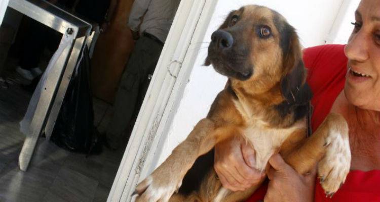 &Chi;&rho;&eta;&mu;&alpha;&tau;&omicron;&delta;ό&tau;&eta;&sigma;&eta; &sigma;&epsilon; &delta;ή&mu;&omicron;&upsilon;&sigmaf; &gamma;&iota;&alpha; &delta;&eta;&mu;&iota;&omicron;&upsilon;&rho;&gamma;ί&alpha; &kappa;&alpha;&iota; &lambda;&epsilon;&iota;&tau;&omicron;&upsilon;&rho;&gamma;ί&alpha; &kappa;&alpha;&tau;&alpha;&phi;ύ&gamma;&iota;&omega;&nu; &gamma;&iota;&alpha; &tau;&alpha; &alpha;&delta;έ&sigma;&pi;&omicron;&tau;&alpha;