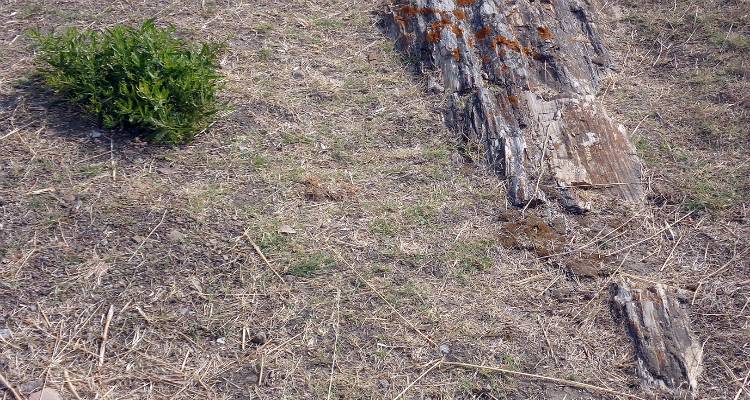 Φωτογραφία: Γ. Λεκάκης / ΑΡΧΕΙΟΝ ΠΟΛΙΤΙΣΜΟΥ