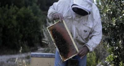&Omicron;&Pi;&Epsilon;&Kappa;&Epsilon;&Pi;&Epsilon;: &Pi;&lambda;&eta;&rho;&omega;&mu;ή 3,7 &epsilon;&kappa;&alpha;&tau;. &epsilon;&upsilon;&rho;ώ &sigma;&epsilon; 4.817 &delta;&iota;&kappa;&alpha;&iota;&omicron;ύ&chi;&omicron;&upsilon;&sigmaf; -&Pi;&omicron;&iota;&omicron;&upsilon;&sigmaf; &alpha;&phi;&omicron;&rho;ά