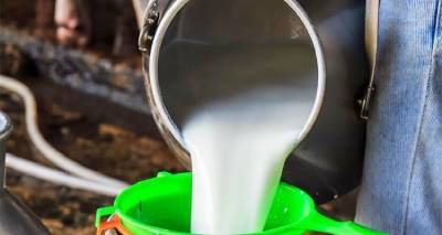 &Sigma;&tau;&eta; &Beta;&omicron;&upsilon;&lambda;ή &eta; &chi;&alpha;&mu;&eta;&lambda;ή &tau;&iota;&mu;ή &tau;&omicron;&upsilon; &gamma;ά&lambda;&alpha;&kappa;&tau;&omicron;&sigmaf;