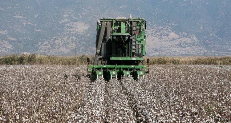 Ξεκινά η πίστωση των επιδοτήσεων στους αγρότες από τον ΟΠΕΚΕΠΕ