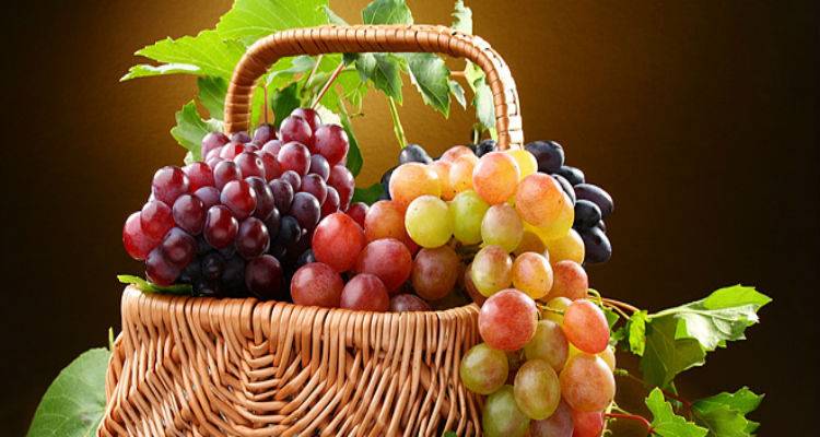 ΕΑΣ Λήμνου: υποτυπώδης έως ανύπαρκτη η ενημέρωση για ενιαία και εξισωτική ενίσχυση