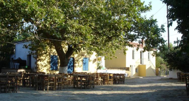 &Pi;&epsilon;&delta;&iota;&nu;ό: &Tau;&alpha; &alpha;&pi;&omicron;&tau;&epsilon;&lambda;έ&sigma;&mu;&alpha;&tau;&alpha; &tau;&eta;&sigmaf; &tau;&omicron;&pi;&iota;&kappa;ή&sigmaf; &kappa;&omicron;&iota;&nu;ό&tau;&eta;&tau;&alpha;&sigmaf;