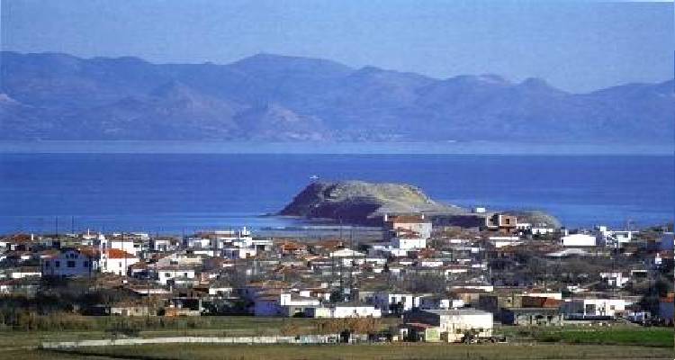 &Alpha;&kappa;&upsilon;&rho;ώ&nu;&epsilon;&tau;&alpha;&iota; &eta; &mu;&omicron;&upsilon;&sigma;&iota;&kappa;&omicron;&chi;&omicron;&rho;&epsilon;&upsilon;&tau;&iota;&kappa;ή &epsilon;&kappa;&delta;ή&lambda;&omega;&sigma;&eta; &sigma;&tau;&eta;&nu; &Pi;&lambda;ά&kappa;&alpha;