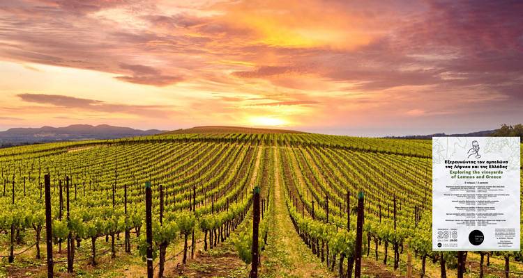 Το «Έννοια πο’χς» στα Λύχνα, εξερευνά τον αμπελώνα της Λήμνου και της Ελλάδας.