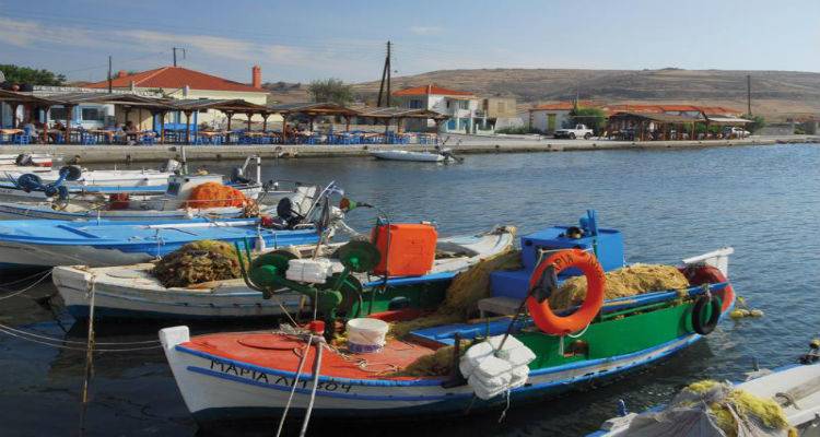 Γιορτάζει η Αγία Σοφία στον Κόστινα