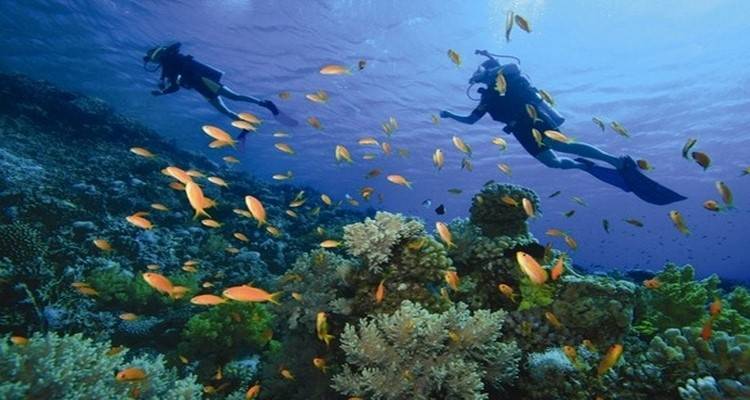 &Eta; &Lambda;ή&mu;&nu;&omicron;&sigmaf; &alpha;&nu;ά&mu;&epsilon;&sigma;&alpha; &sigma;&tau;&omicron;&upsilon;&sigmaf; &kappa;&alpha;&lambda;ύ&tau;&epsilon;&rho;&omicron;&upsilon;&sigmaf; &kappa;&alpha;&tau;&alpha;&delta;&upsilon;&tau;&iota;&kappa;&omicron;ύ&sigmaf; &pi;&rho;&omicron;&omicron;&rho;&iota;&sigma;&mu;&omicron;ύ&sigmaf; &sigma;&tau;&omicron;&nu; &kappa;ό&sigma;&mu;&omicron; &sigma;ύ&mu;&phi;&omega;&nu;&alpha; &mu;&epsilon; &tau;&eta; &beta;&rho;&epsilon;&tau;&alpha;&nu;&iota;&kappa;ή &laquo;Independent&raquo;