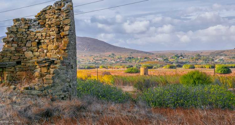 Φυσίνη: Τα αποτελέσματα της τοπικής κοινότητας
